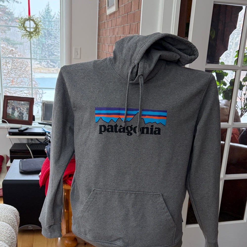 Patagonia Charcoal Gray Hoodie with Logo